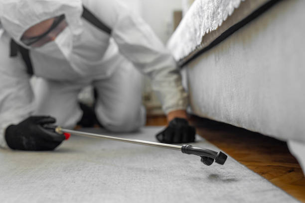 Professional Pest Control technician working in Littlefield, TX