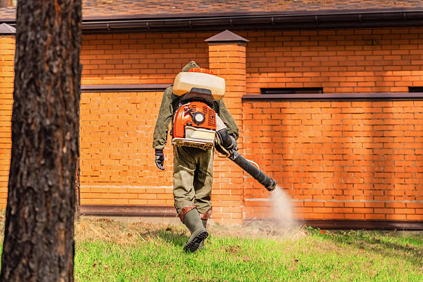 Trusted Cockroach Control service in Littlefield, TX - Nex Pest Control